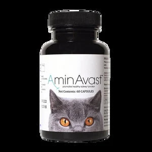 AminAvast Kidney Support Supplement — supplied packaging reference (H1)