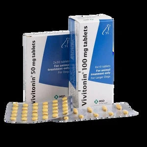 Vivitonin Propentofylline Tablets for Dogs — supplied packaging reference (H31)