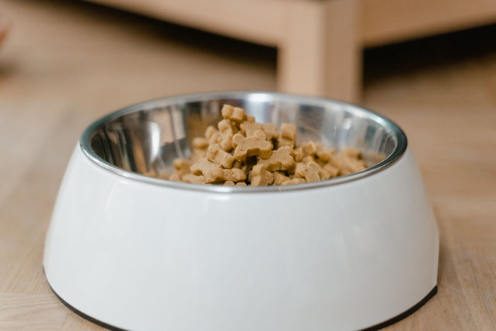 Stainless steel pet bowl holding small dry treats on a wooden floor