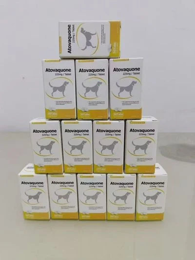Original packaging reference for Anti-Infective